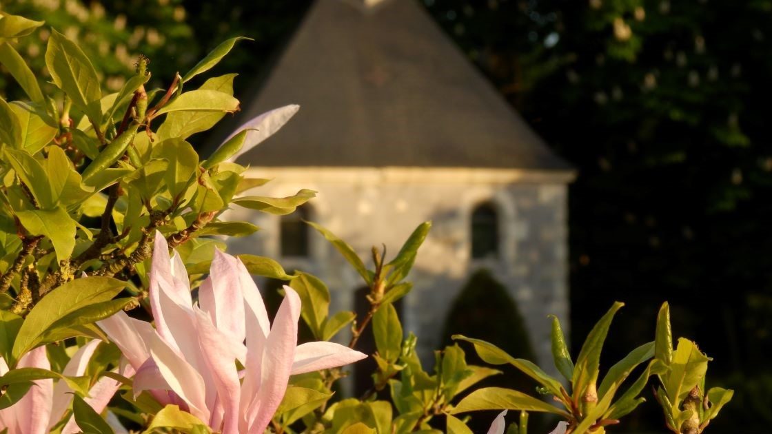 Chateau La Mothaye - appartement Loire vakantiehuis - park