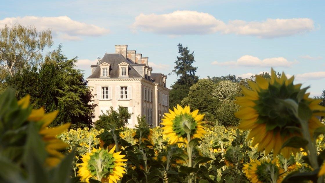 Chateau La Mothaye - appartement Loire vakantiehuis - zonnebloem